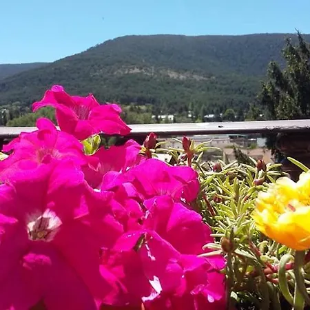 Hotel La Cigueena