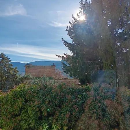 Hotel La Cigueena