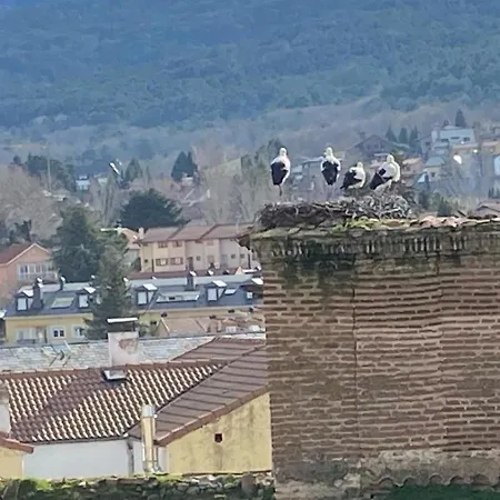 La Ciguena El Espinar